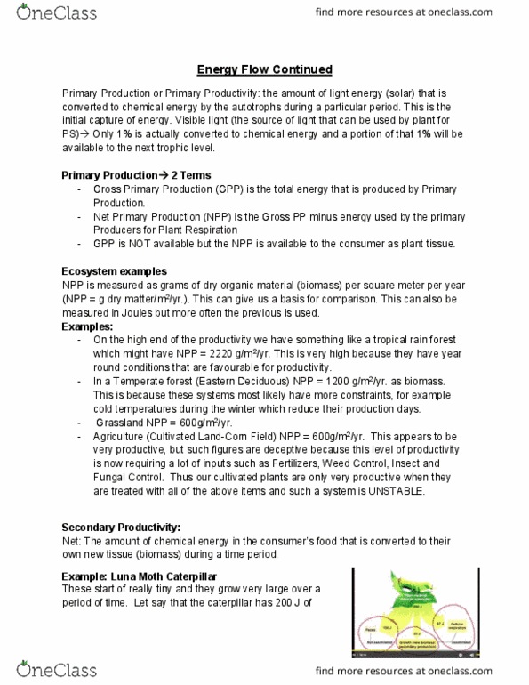 CHEM 2370 Lecture Notes - Lecture 36: Anabaena, Root Nodule, Nitrite thumbnail