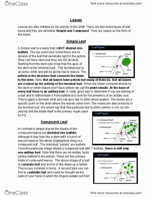 CHEM 2370 Lecture 30: Lecture 30 thumbnail