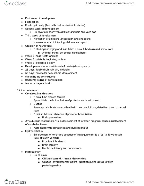 SPHR 2106 Lecture Notes - Lecture 8: Neuroglia, Visual Cortex, Intellectual Disability thumbnail