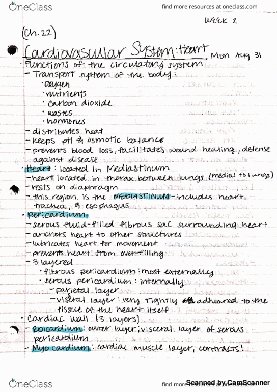 PTH_AS 2201 Lecture Notes - Lecture 2: Femoral Vein, Tunica Externa, Arteriole thumbnail