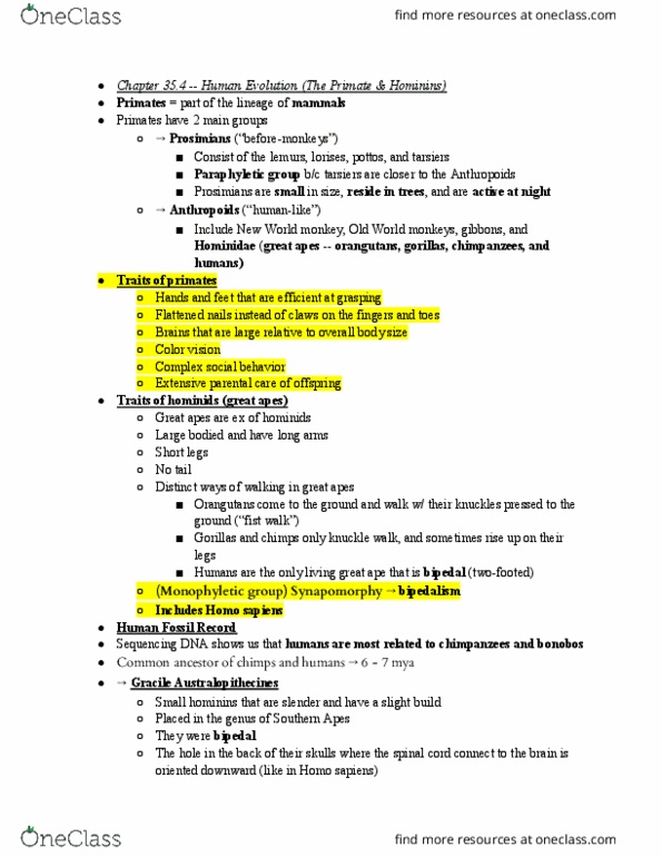 BIO SCI 94 Chapter Notes - Chapter 35.4: Sagittal Crest, Paranthropus, Hominidae thumbnail