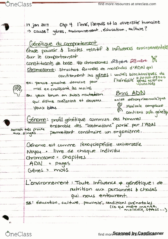 PSY 1502 Lecture Notes - Lecture 3: Croissant, Chromosome, Dune thumbnail