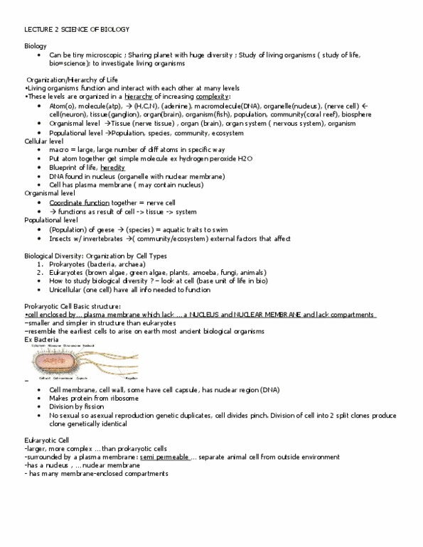 BIO120H1 Lecture Notes - Multicellular Organism, Rudolf Virchow, Archaea thumbnail