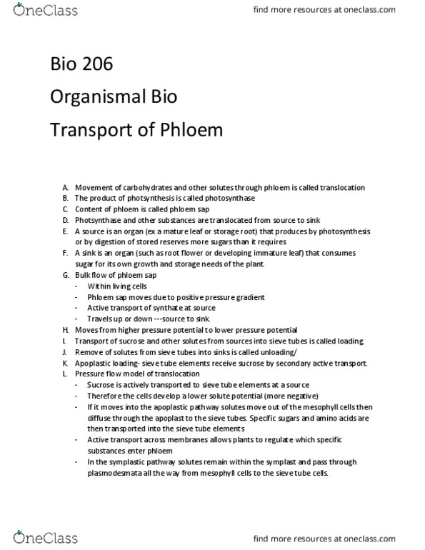 BIOL 206 Chapter Notes - Chapter 35.4: Sieve Tube Element, Apoplast, Phloem thumbnail