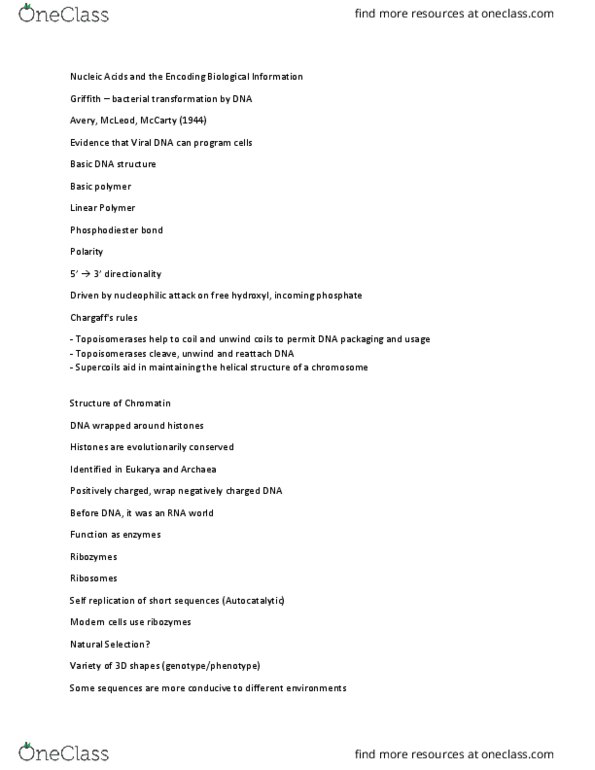 BIOL 2107K Lecture Notes - Lecture 3: Phosphodiester Bond, Chromatin, Cell Nucleus thumbnail