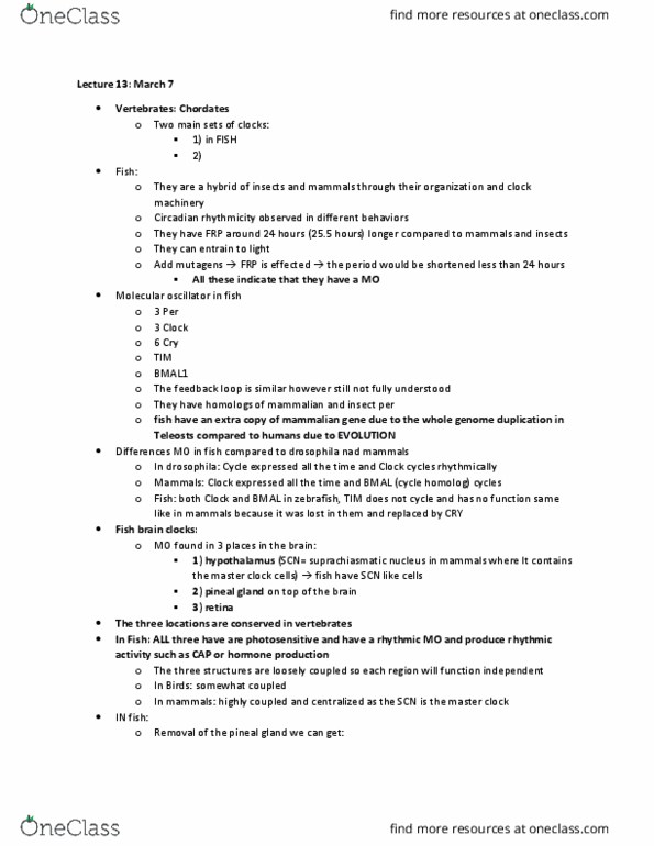 BIOL 4310 Lecture Notes - Lecture 13: Ac Propulsion Ebox, Zebrafish, Clock Signal thumbnail