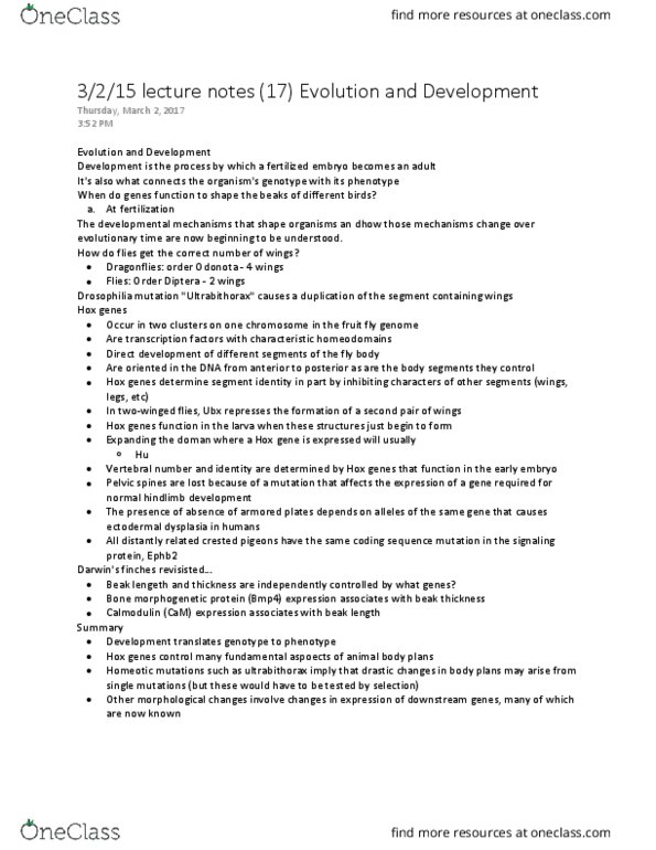 BILD 3 Lecture Notes - Lecture 17: Hox Gene, Ultrabithorax, Dhow thumbnail