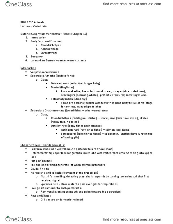 BIOL 2030 Lecture Notes - Lecture 16: Gill Slit, Chondrichthyes, Actinopterygii thumbnail