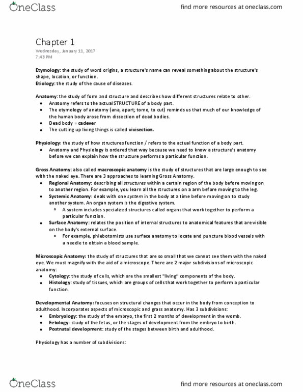 BIO 2401 Lecture Notes - Lecture 1: Integumentary System, Blood Vessel, Thymus thumbnail