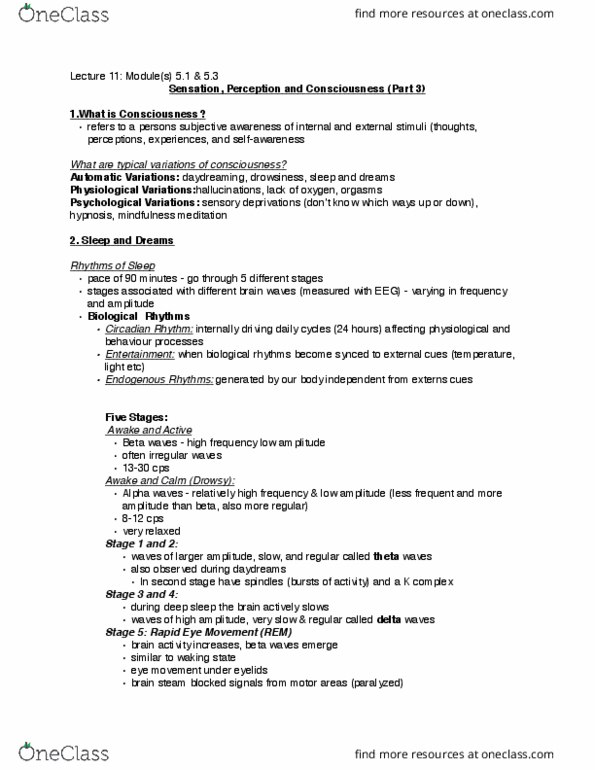 PSYC 1000 Lecture Notes - Lecture 11: Theta Wave, Delta Wave, Alpha Wave thumbnail