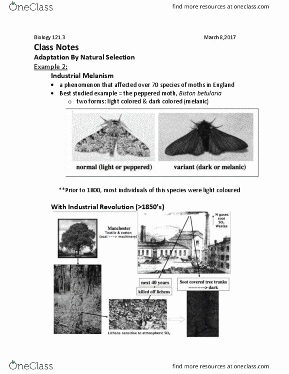 BIOL 121 Lecture Notes - Lecture 28: Peppered Moth, Medium Ground Finch, Bernard Kettlewell thumbnail