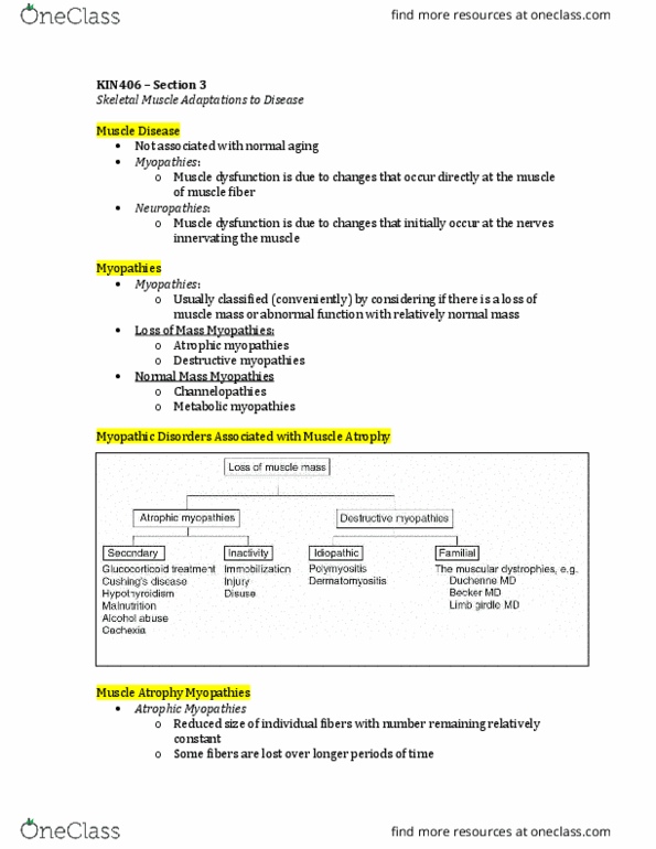 KIN406 Lecture Notes - Lecture 3: Soleus Muscle, Cellular Respiration, Protein Isoform thumbnail