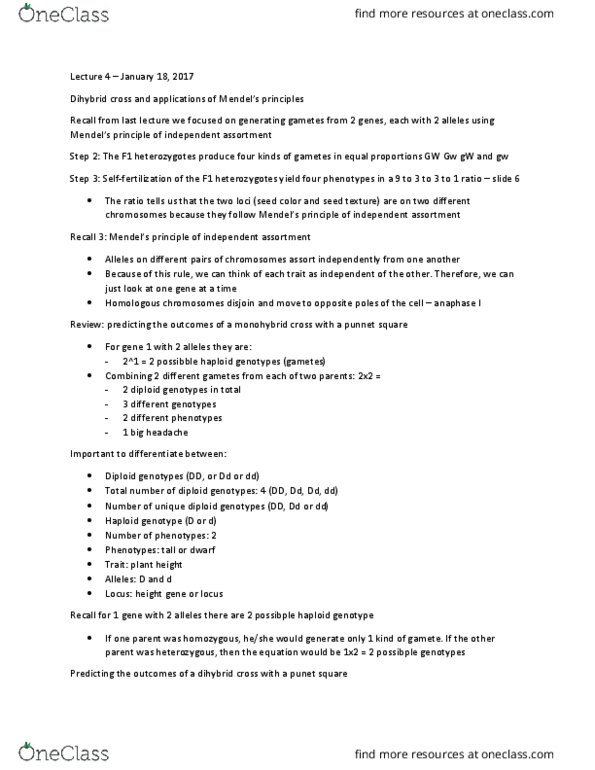 BIOL 1090 Lecture Notes - Lecture 4: Dihybrid Cross, Punnett Square, Mendelian Inheritance thumbnail