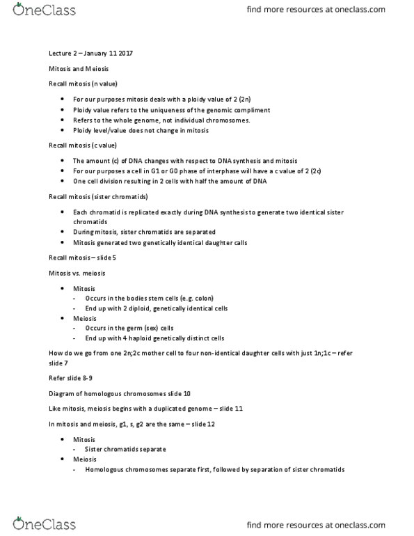 BIOL 1090 Lecture Notes - Lecture 2: Spermatogenesis, Ovulation, Down Syndrome thumbnail