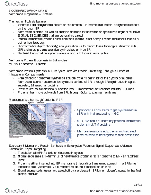 BIOC 4580 Lecture Notes - Lecture 25: Membrane Potential, Nuclear Membrane, Pathogenic Bacteria thumbnail