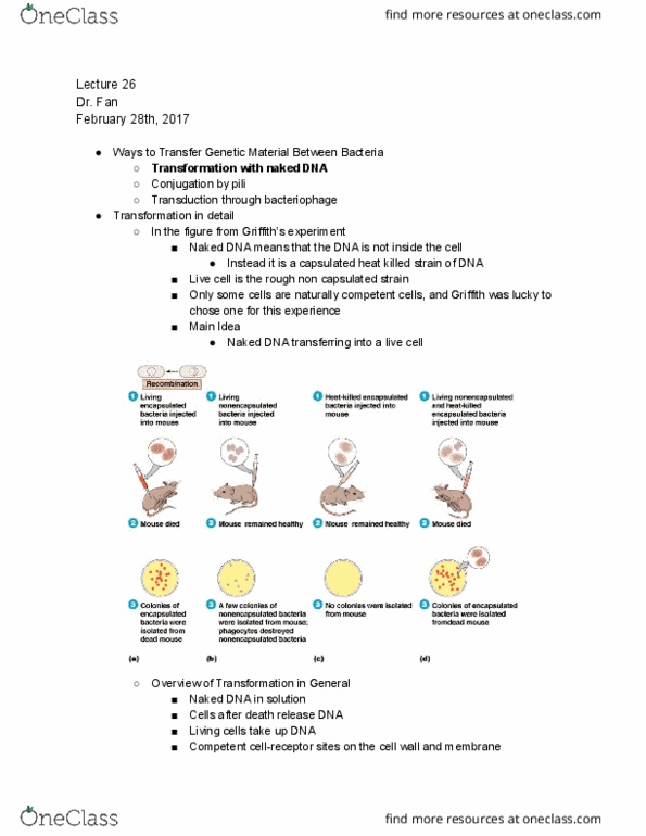 BIO 214 Lecture Notes - Lecture 26: Ampicillin, Cloning, Genentech thumbnail