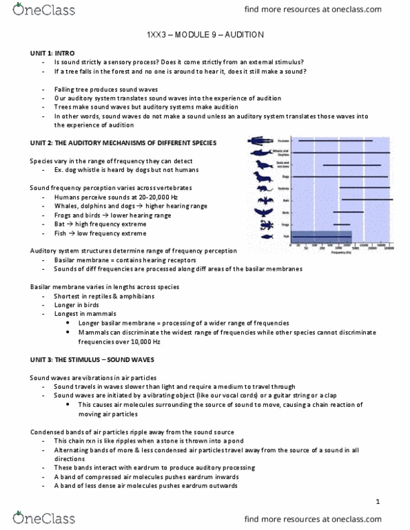 PSYCH 1XX3 Lecture Notes - Lecture 9: Sound Localization, Dorsal Cochlear Nucleus, Stirrup thumbnail