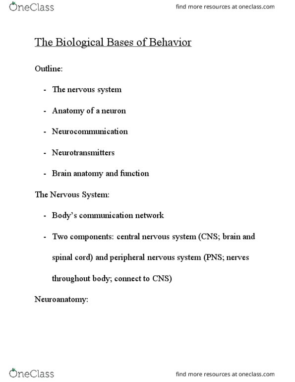 PSY 101 Lecture Notes - Lecture 6: Cerebellum, Axon Terminal, Hypothalamus thumbnail
