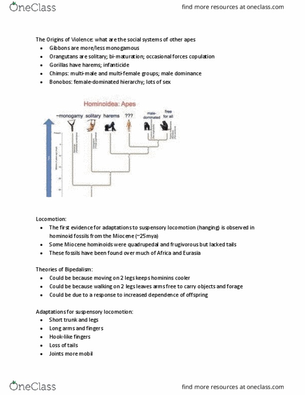BIOLOGY 1M03 Lecture Notes - Lecture 16: Global Cooling, Spoken Language, Paranthropus thumbnail