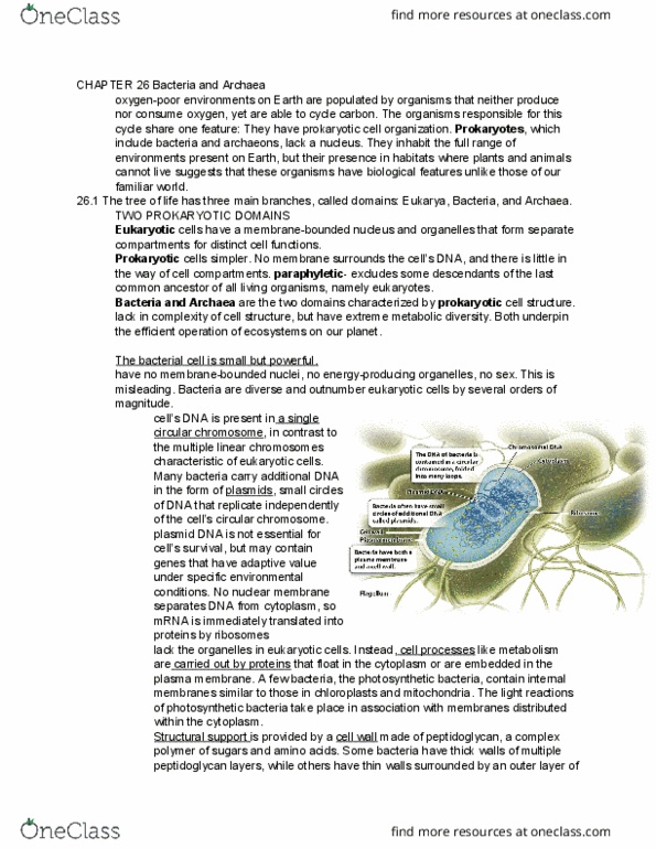 LIFESCI 1 Chapter Notes - Chapter 26: Planctomycetes, Heliobacteria, Proteobacteria thumbnail