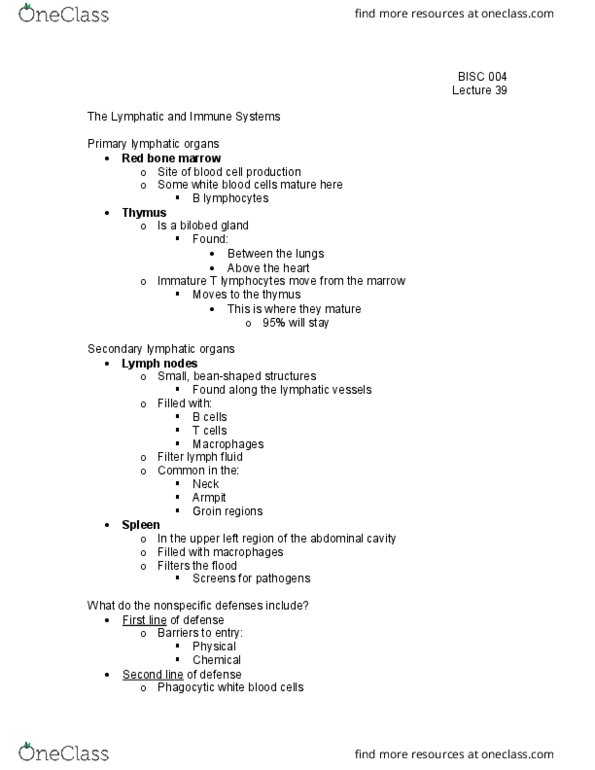 BI SC 004 Lecture Notes - Lecture 39: Abdominal Cavity, Mucous Membrane, Bone Marrow thumbnail