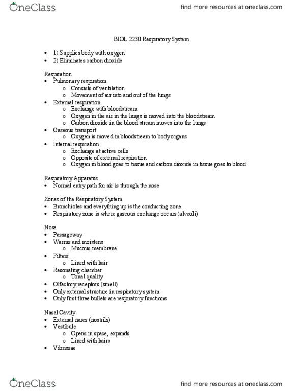 BIOL-2230 Lecture Notes - Lecture 11: Respiratory Center, Intercostal Nerves, Tuberculosis thumbnail