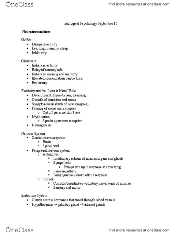 PSYC 100 Lecture Notes - Lecture 4: Cortisol, Corpus Callosum, Gyrus thumbnail