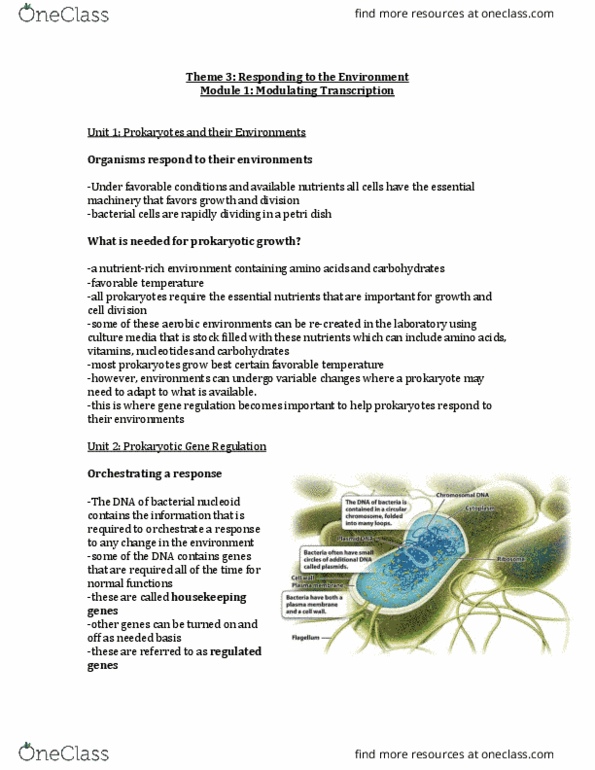 BIOLOGY 1A03 Lecture Notes - Lecture 27: Start Codon, Peptide, Stop Codon thumbnail