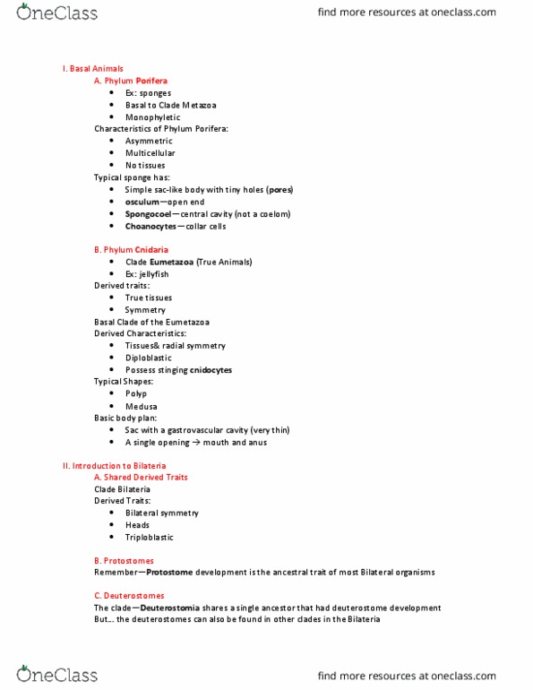 01:119:116 Lecture Notes - Lecture 6: Nematode, Trochophore, Flatworm thumbnail