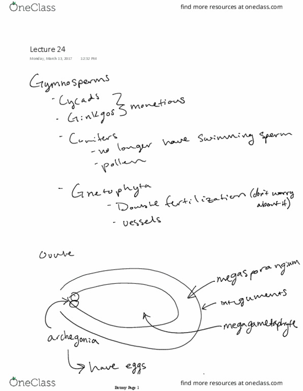 BIOS 109 Lecture 24: Gymnosperm Life Cycle thumbnail