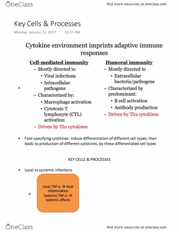 MIMM 214 Lecture Notes - Lecture 9: Titer, Mhc Class I, Apoptosis thumbnail