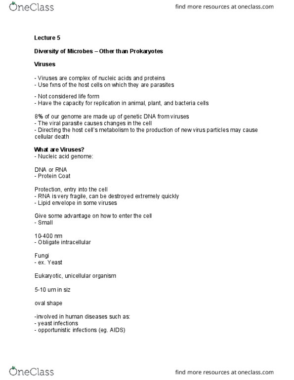 NATS 1670 Lecture Notes - Lecture 5: Mycelium, Protozoa, Sinusitis thumbnail