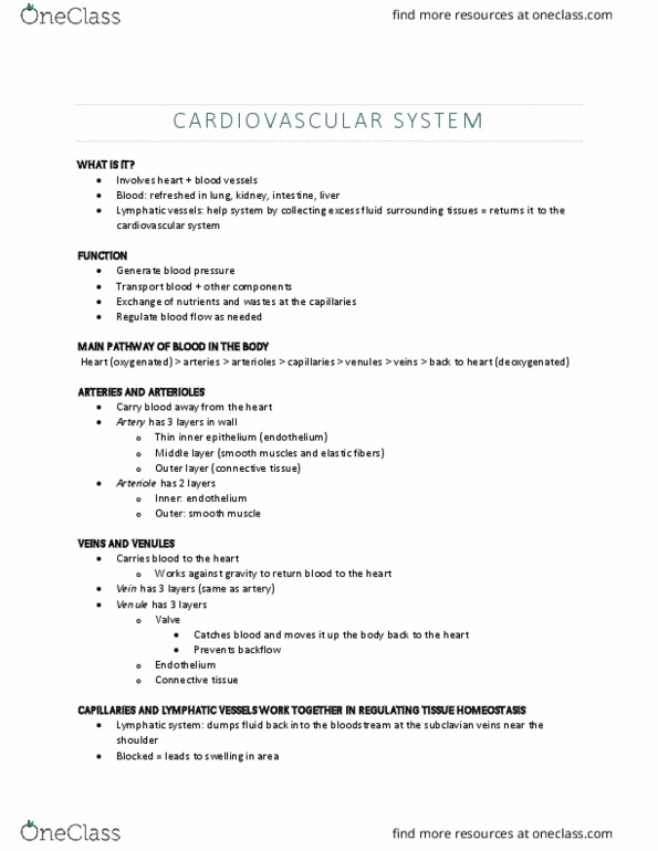 HSCI 100 Lecture Notes - Lecture 1: Aorta, Coronary Circulation, Purkinje Fibers thumbnail
