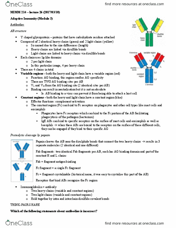 MIMM 214 Lecture Notes - Lecture 26: Immunoglobulin G, Immunoglobulin M, Ionic Bonding thumbnail