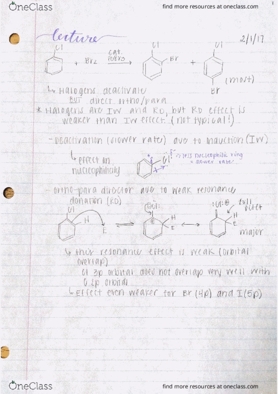 CHEM 0320 Lecture Notes - Lecture 8: Sodium Hydroxide, Nitric Acid, Home Shopping Network thumbnail