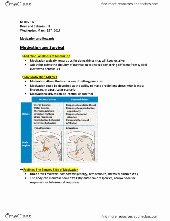 NEUR 2P37 Lecture Notes - Lecture 15: Midbrain, Basal Ganglia, Putamen thumbnail