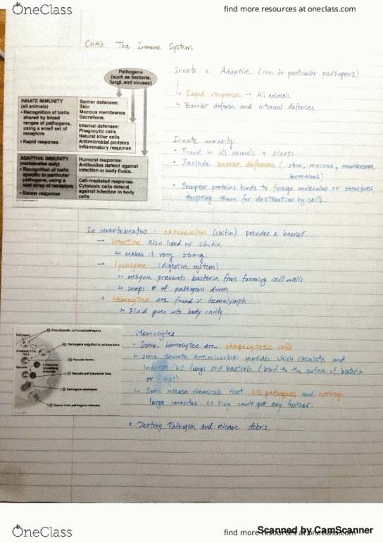 BIOL 102 Lecture Notes - Lecture 10: Blood Plasma, Dendritic Cell, Thrombin thumbnail