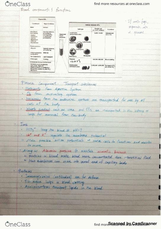 BIOL 102 Lecture Notes - Lecture 9: Pulmonary Artery, Trachea, Asteroid Family thumbnail