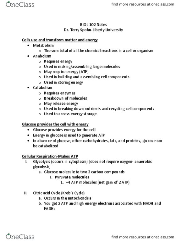 BIOL 102 Lecture Notes - Lecture 10: Citric Acid Cycle, Anaerobic Glycolysis, Glycolysis thumbnail