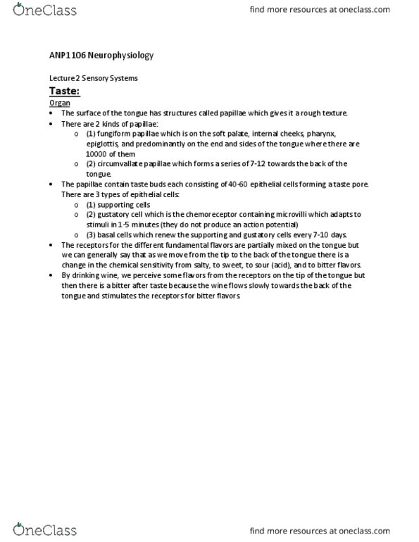 ANP 1106 Lecture Notes - Lecture 15: Afferent Nerve Fiber, Tonotopy, Subarachnoid Space thumbnail