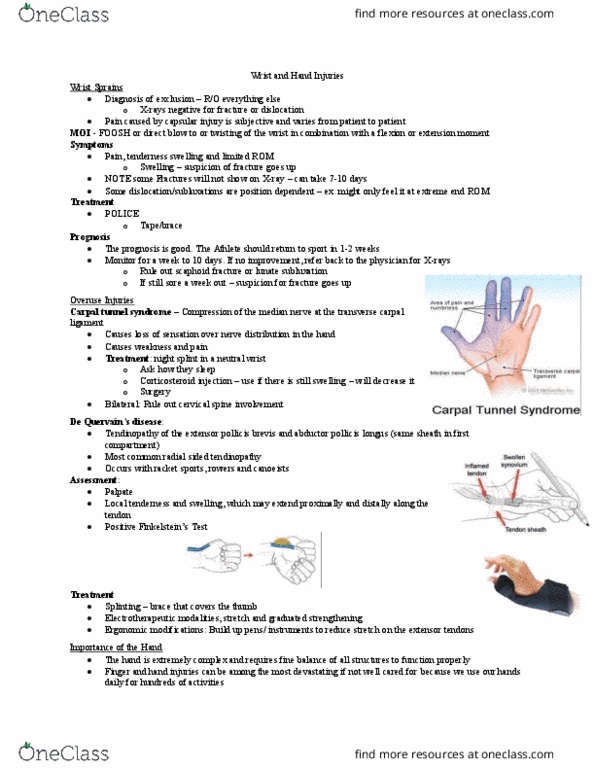 Kinesiology 3336A/B Lecture Notes - Lecture 17: Grip Strength, Ulnar Nerve, Triquetral Bone thumbnail