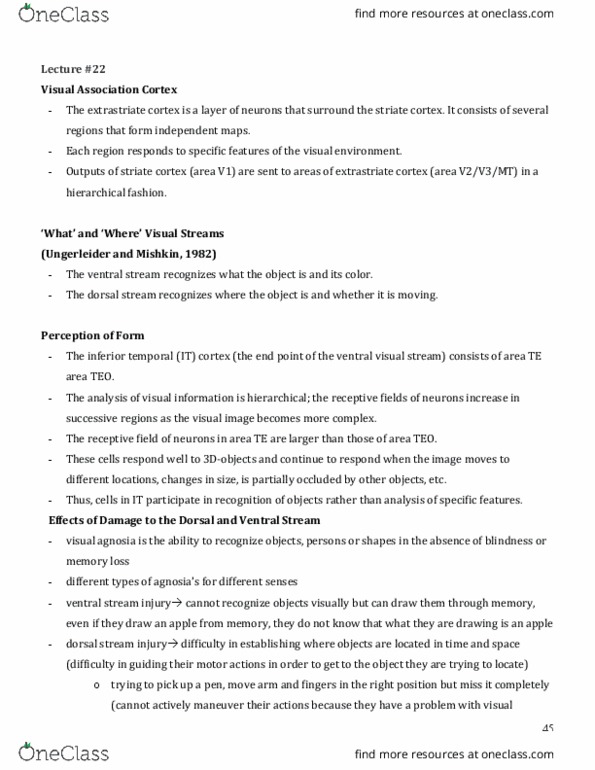 PSYC 211 Lecture Notes - Lecture 22: Fusiform Gyrus, Motion Perception, Optical Flow thumbnail