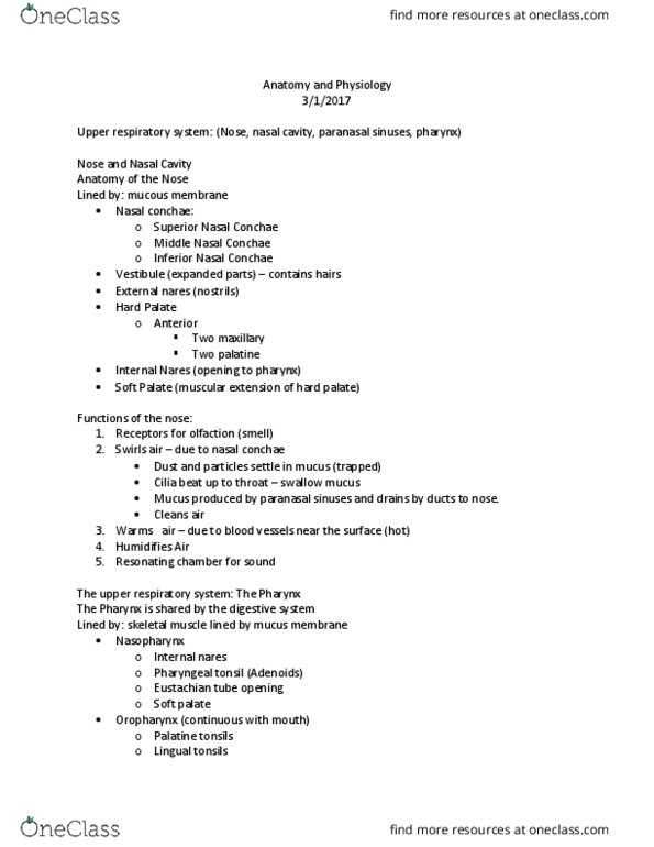 BIOLOGY 174 Lecture Notes - Lecture 16: Escalator, Cuneiform Bones, Vocal Folds thumbnail