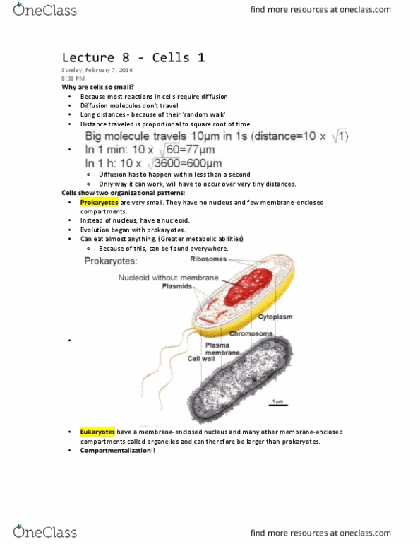 BIOL 112 Lecture Notes - Lecture 10: Ribosomal Rna, Extracellular Fluid, Vesicle Fusion thumbnail