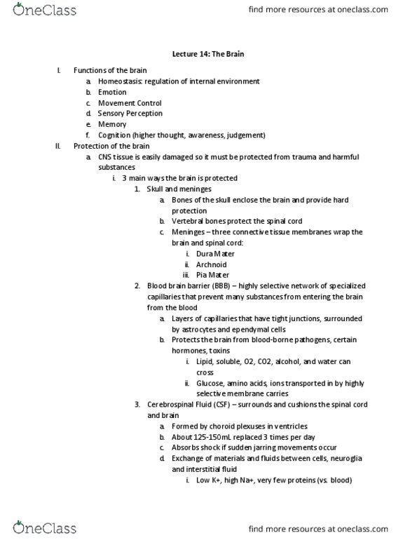 BIO 22 Lecture Notes - Lecture 14: Endocrine System, Soft Palate, Lateral Sulcus thumbnail