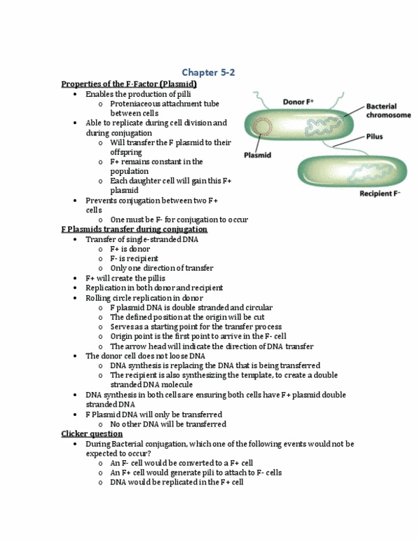 BIOL 2000 Lecture Notes - Streptomycin, Karyotype, Threonine thumbnail