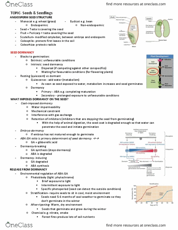 BIOL 341 Lecture Notes - Lecture 19: Seed Dormancy, Axillary Bud, Aleurone thumbnail