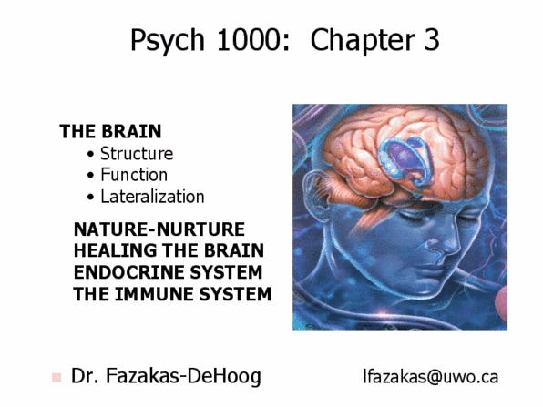 Psychology 1000 Lecture Notes - Gyrus, Artificial Neural Network, Phineas Gage thumbnail