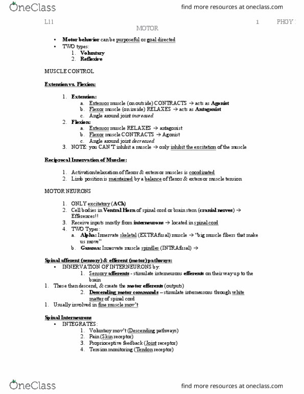 PHGY 209 Lecture Notes - Lecture 8: Anatomical Terms Of Location, Nociceptor, Posterior Column thumbnail