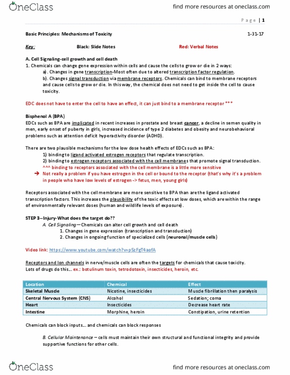 PHAR 1001 Lecture Notes - Lecture 4: Attention Deficit Hyperactivity Disorder, Signal Transduction, Semen Quality thumbnail